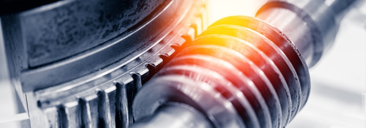 Dettaglio vite senza fine